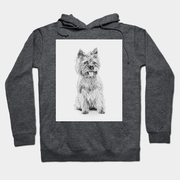 Cairn Terrier - 3a Hoodie by Avalinart